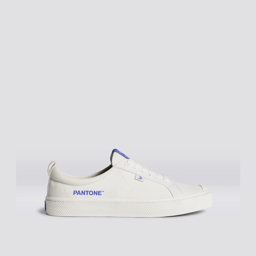 OCA LOW Cariuma Low Top Tela Vegan Off-White / Very Peri Canvas Homme | CPD-9114879